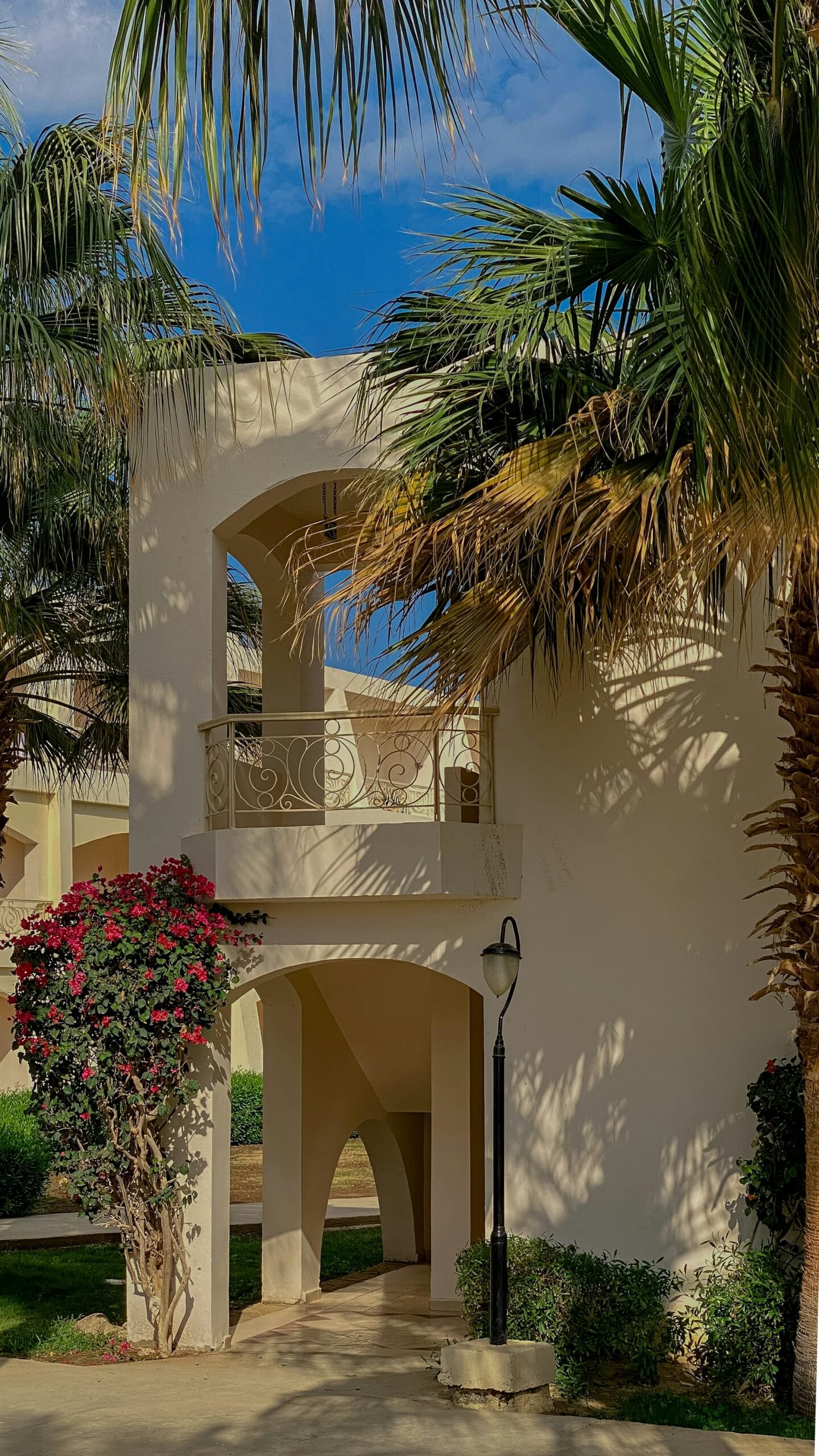 House with palm tree in a growing residential area of Al Daayen, Qatar